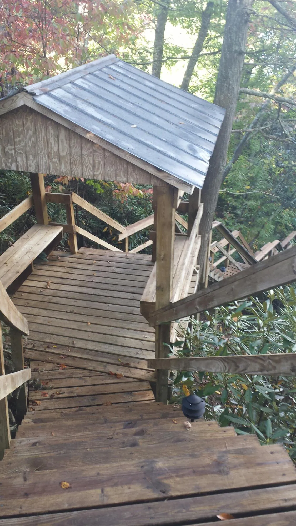 Metal roofed shelter over wooden steps on a wooded walkway — Skylight Repair & Installation work by our crew in Early Branch