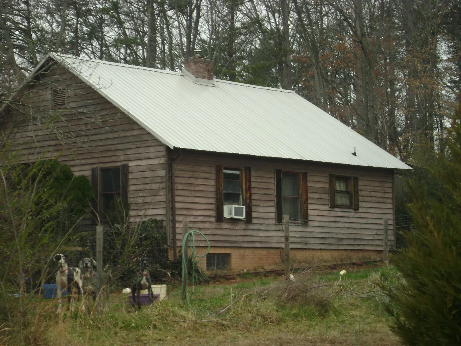White metal roof on an old wood sided farmhouse, from a Asphalt Shingle Roof Repair job in Early Branch